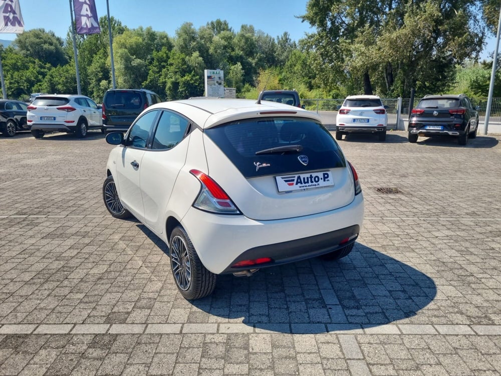 Lancia Ypsilon usata a Lucca (4)
