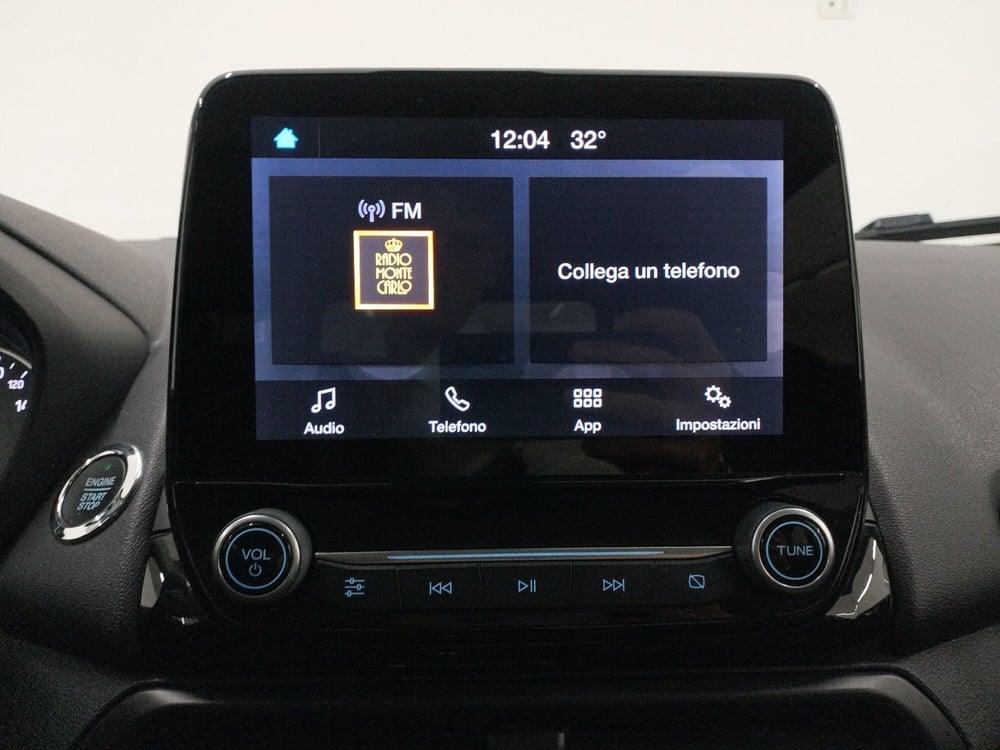 Ford EcoSport usata a Catanzaro (19)