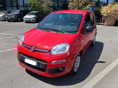 Fiat Panda 1.2 Easy del 2018 usata a Altopascio
