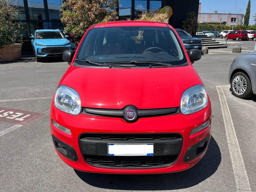 Fiat Panda usata a Lucca (2)
