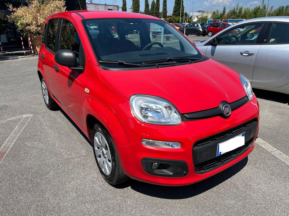 Fiat Panda usata a Lucca (3)