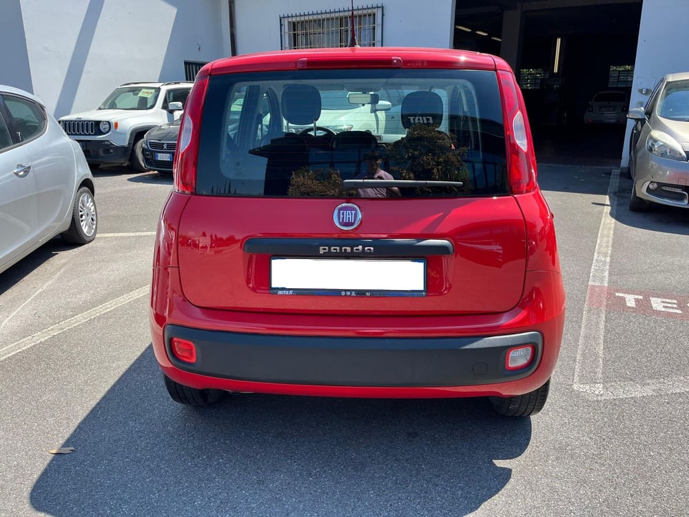 Fiat Panda usata a Lucca (6)