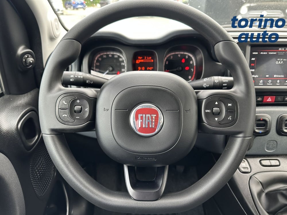 Fiat Panda Cross usata a Torino (15)