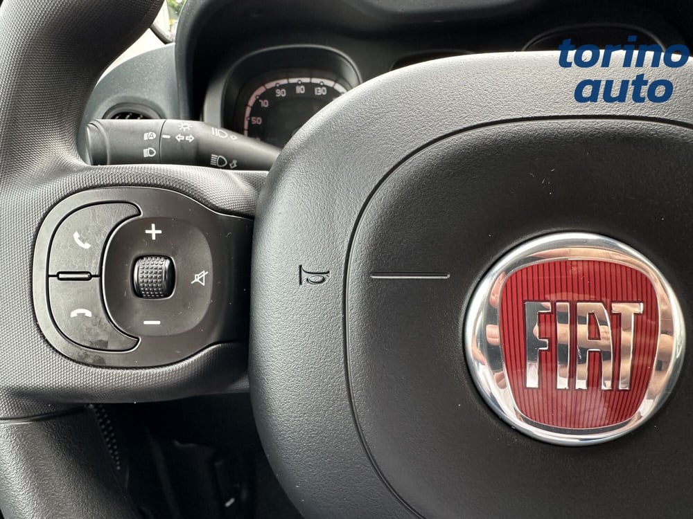 Fiat Panda Cross usata a Torino (16)