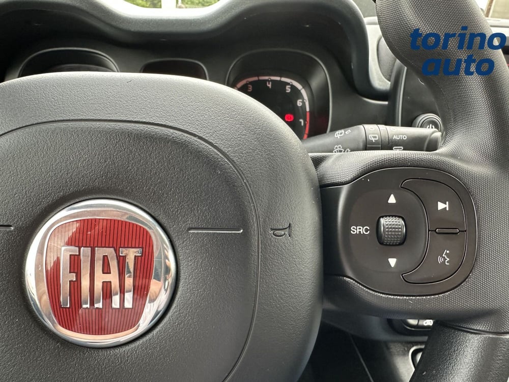 Fiat Panda Cross usata a Torino (17)