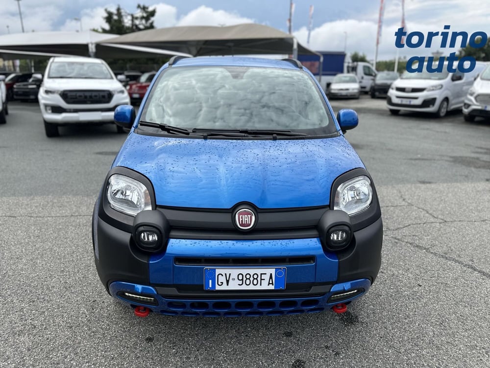 Fiat Panda Cross usata a Torino (2)