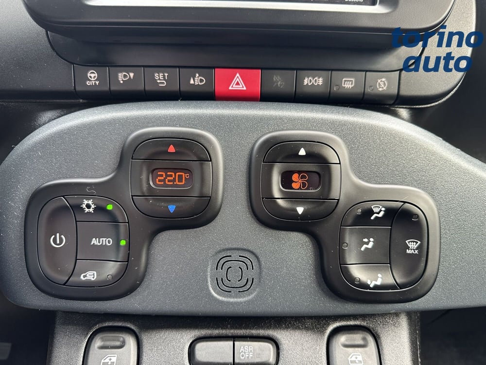 Fiat Panda Cross usata a Torino (20)