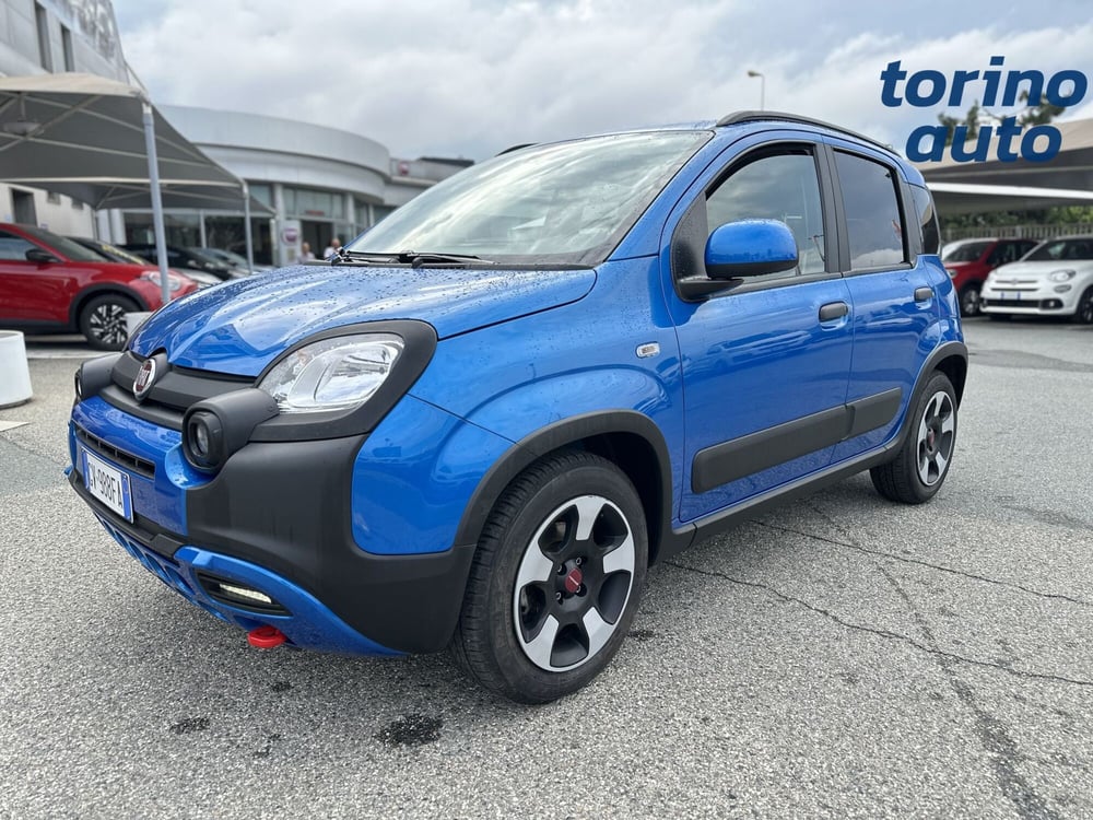 Fiat Panda Cross usata a Torino (3)