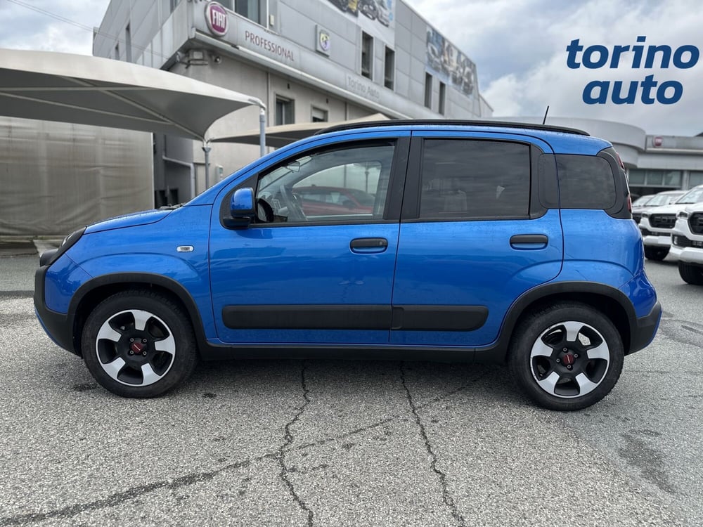Fiat Panda Cross usata a Torino (4)