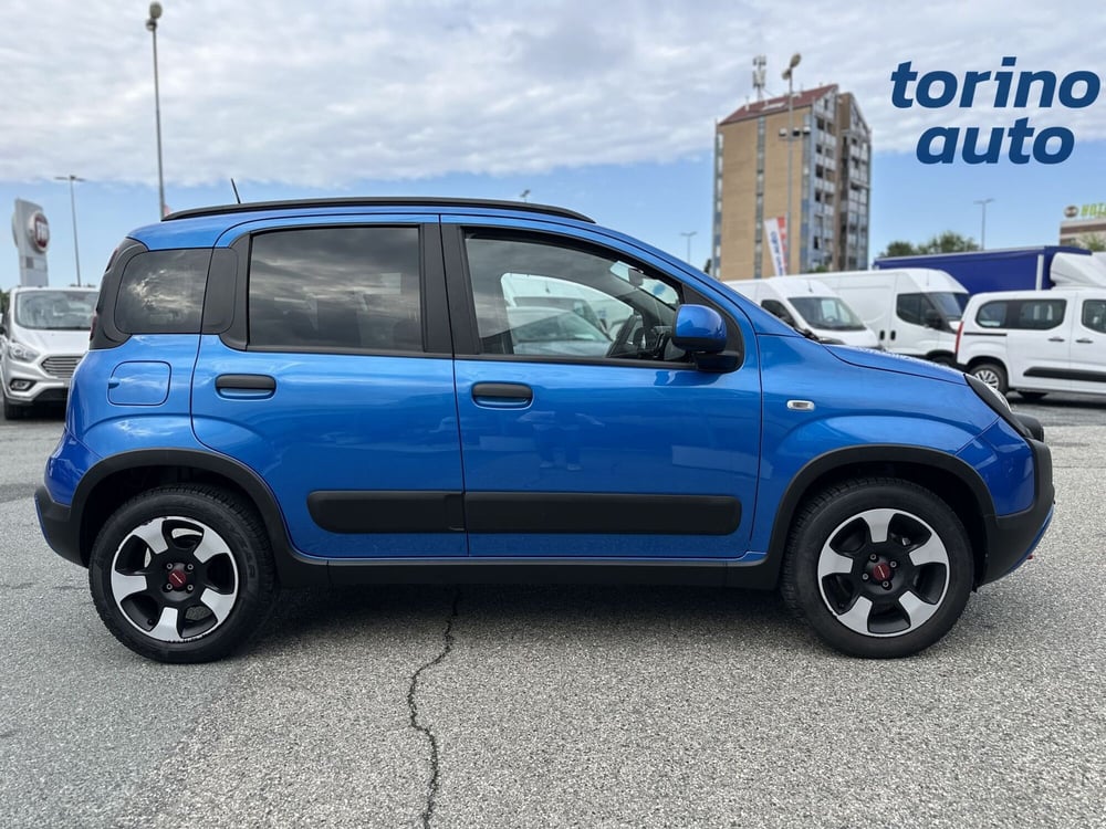 Fiat Panda Cross usata a Torino (8)