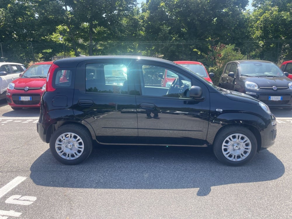 Fiat Panda nuova a Roma (7)
