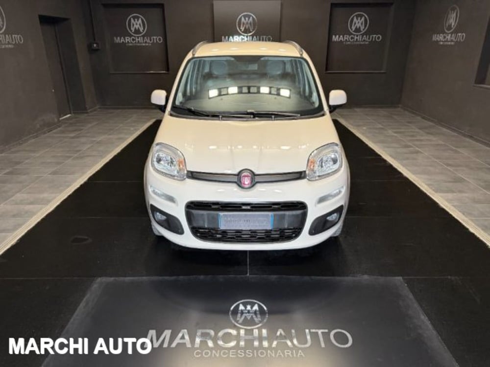 Fiat Panda usata a Perugia (2)
