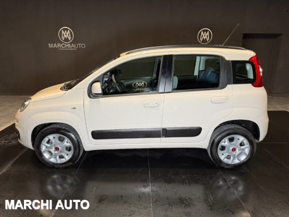 Fiat Panda usata a Perugia (8)