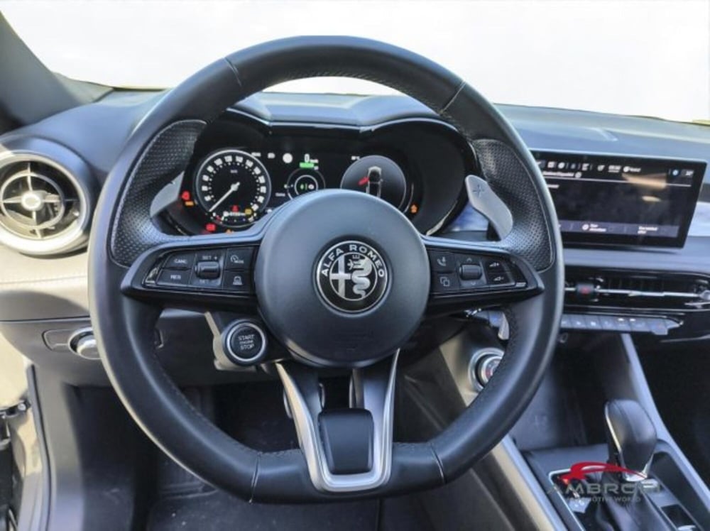 Alfa Romeo Tonale usata a Perugia (13)