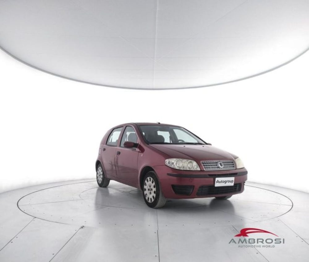 Fiat Punto usata a Perugia (2)