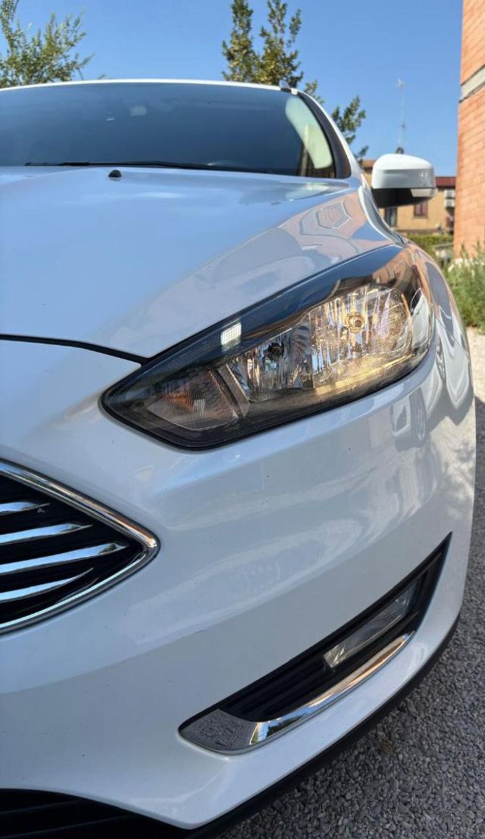 Ford Focus Station Wagon usata a Roma (10)