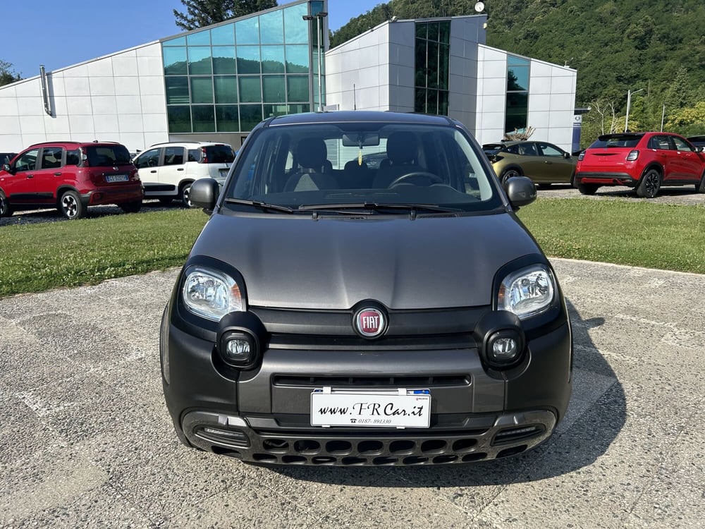 Fiat Panda usata a La Spezia (2)