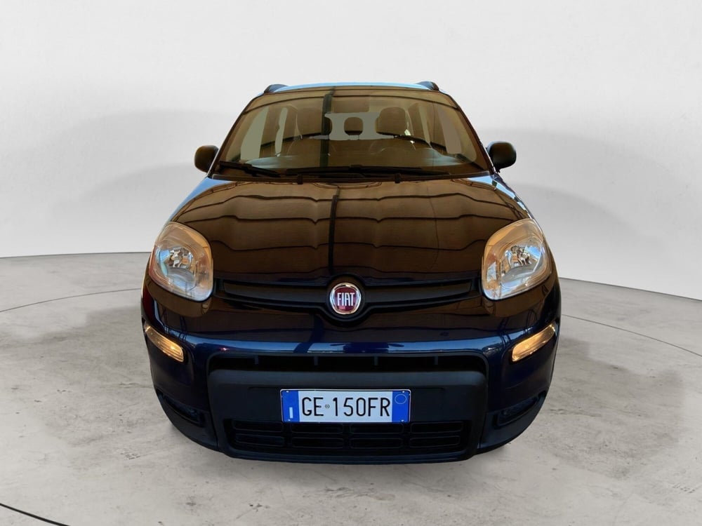Fiat Panda usata a Perugia (2)