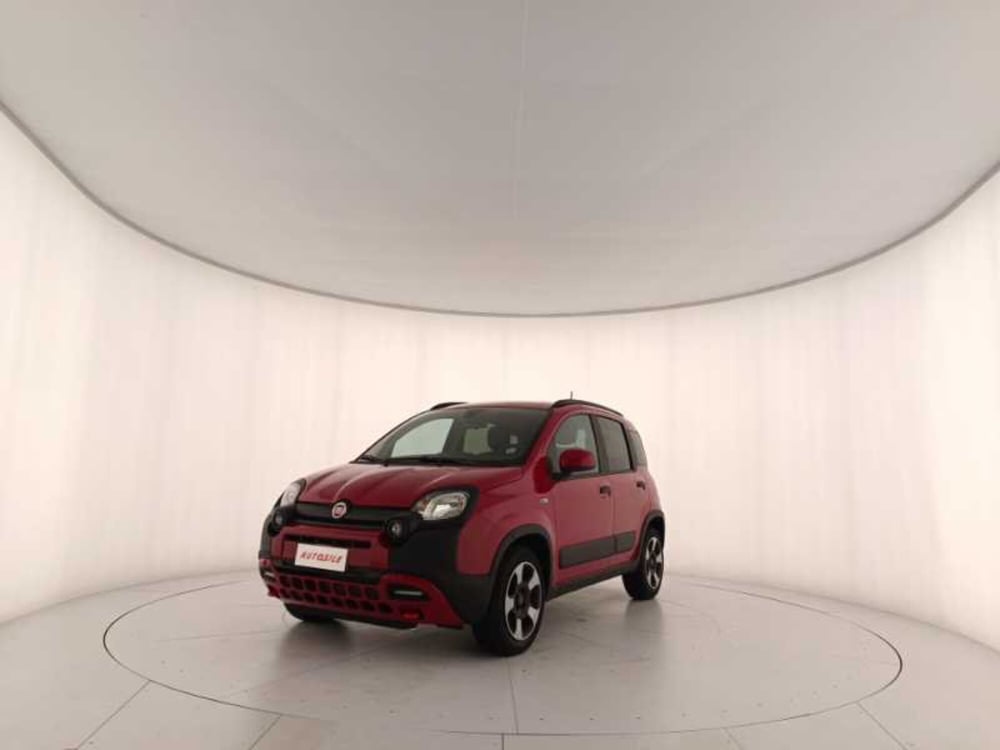 Fiat Panda Cross usata a Treviso
