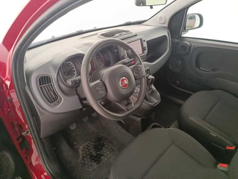 Fiat Panda Cross usata a Treviso (10)