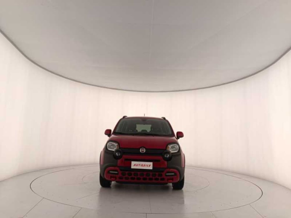 Fiat Panda Cross usata a Treviso (2)