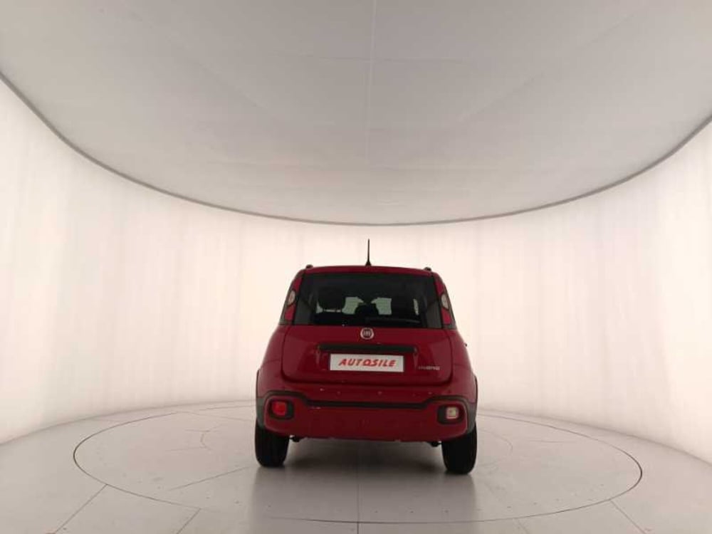 Fiat Panda Cross usata a Treviso (5)