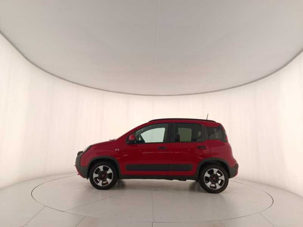 Fiat Panda Cross usata a Treviso (8)