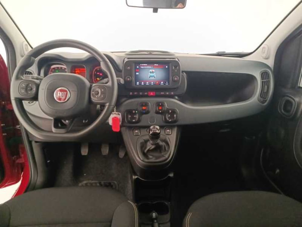 Fiat Panda Cross usata a Treviso (9)