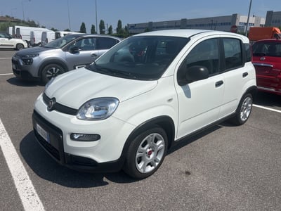 Fiat Panda Cross Cross 1.0 FireFly S&amp;S Hybrid del 2024 usata a Verdello