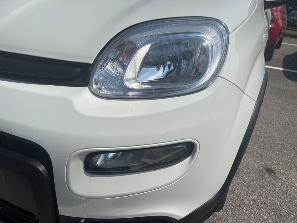 Fiat Panda Cross usata a Bergamo (19)