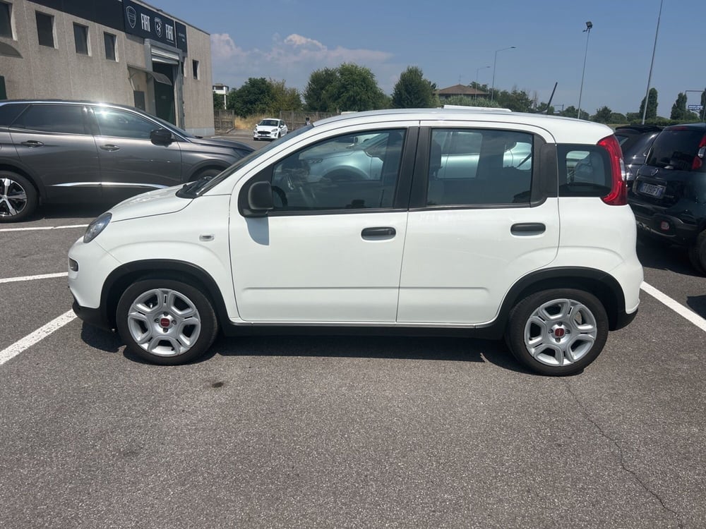 Fiat Panda Cross usata a Bergamo (2)