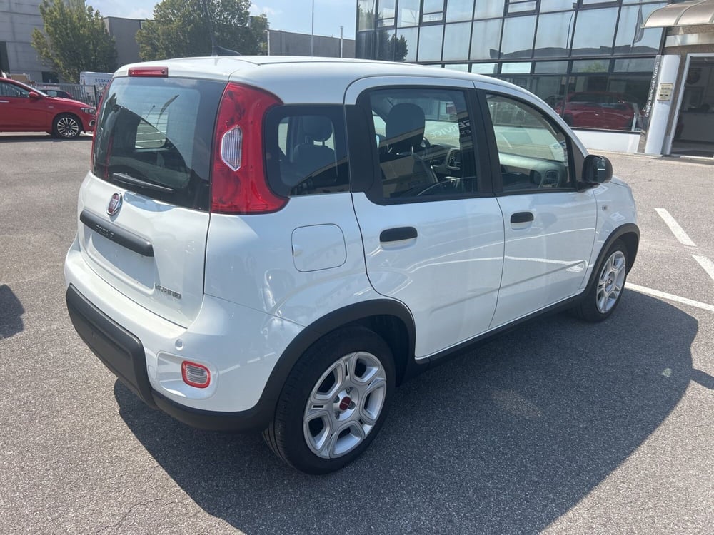 Fiat Panda Cross usata a Bergamo (5)