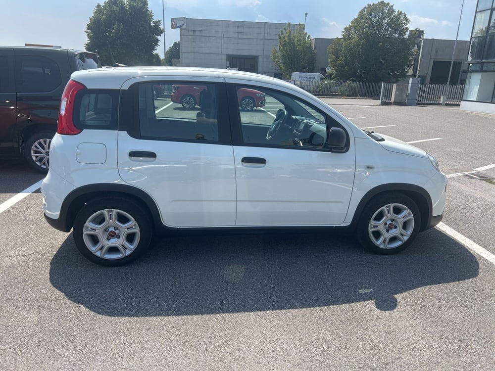 Fiat Panda Cross usata a Bergamo (6)
