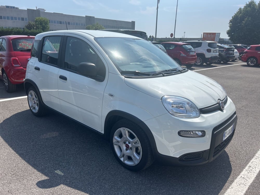 Fiat Panda Cross usata a Bergamo (7)