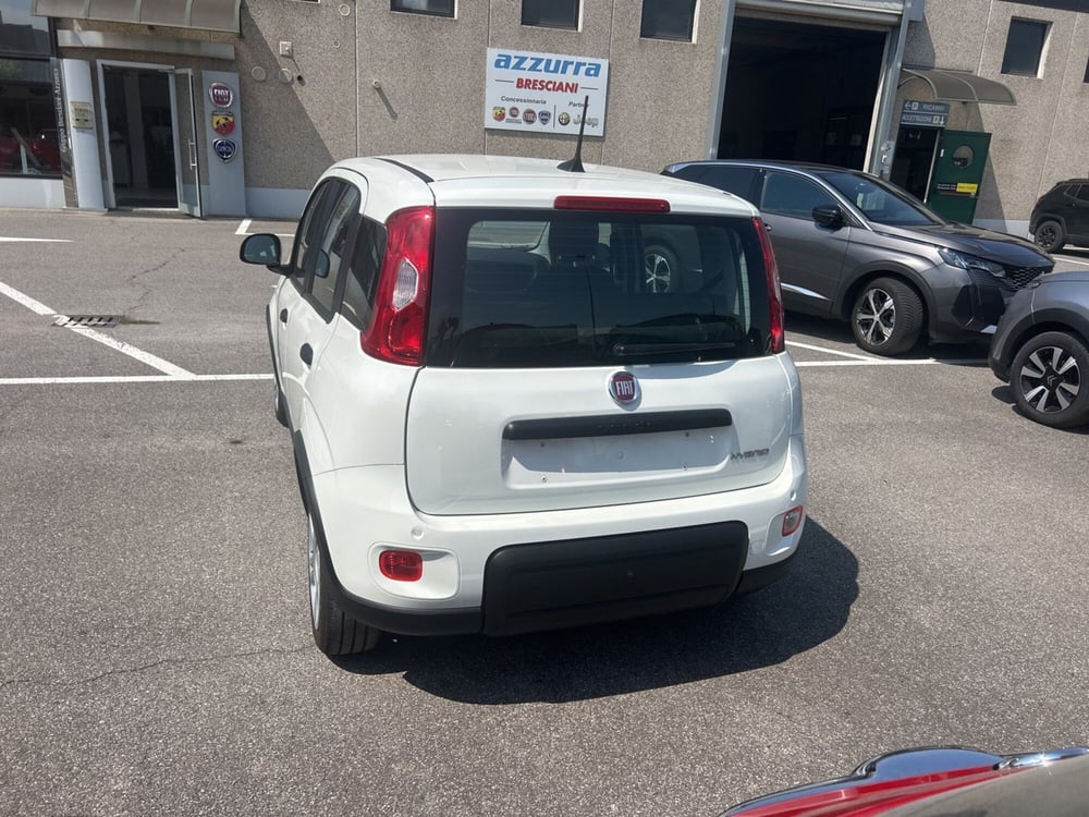 Fiat Panda Cross usata a Bergamo (8)