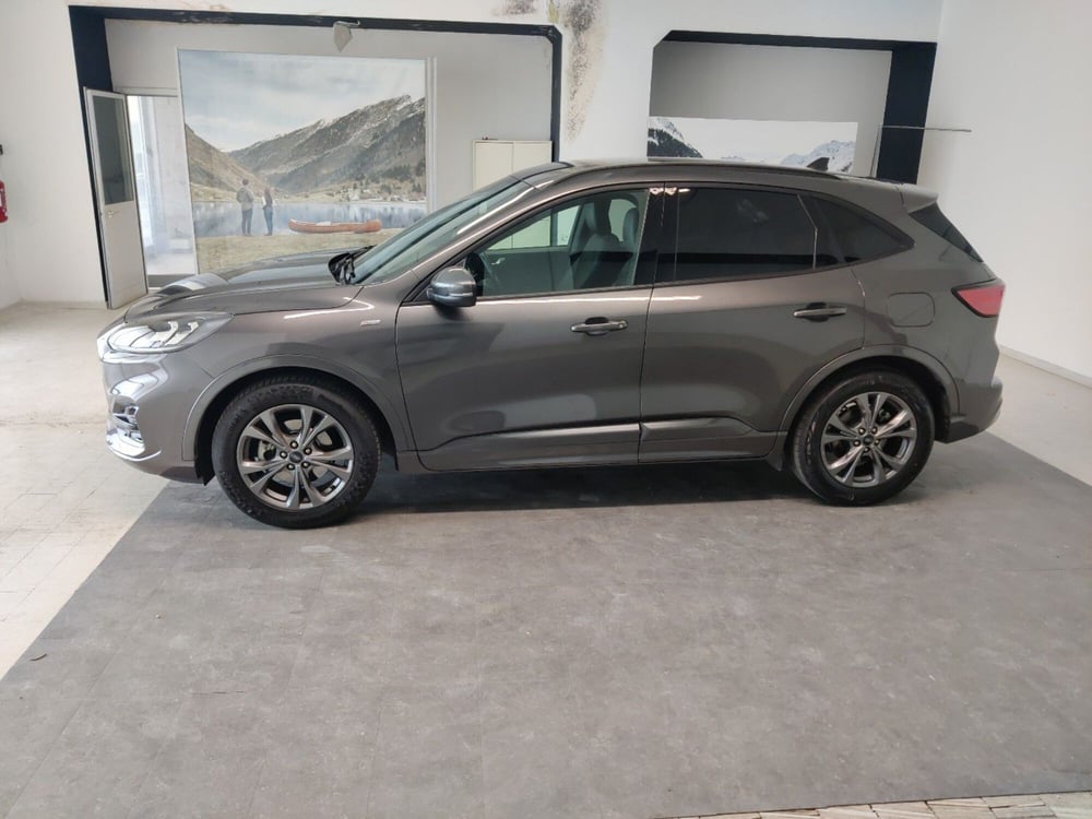 Ford Kuga usata a Arezzo (7)