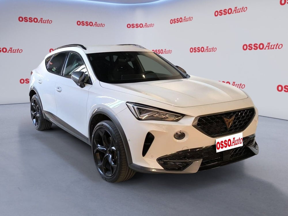 Cupra Formentor usata a Udine (2)