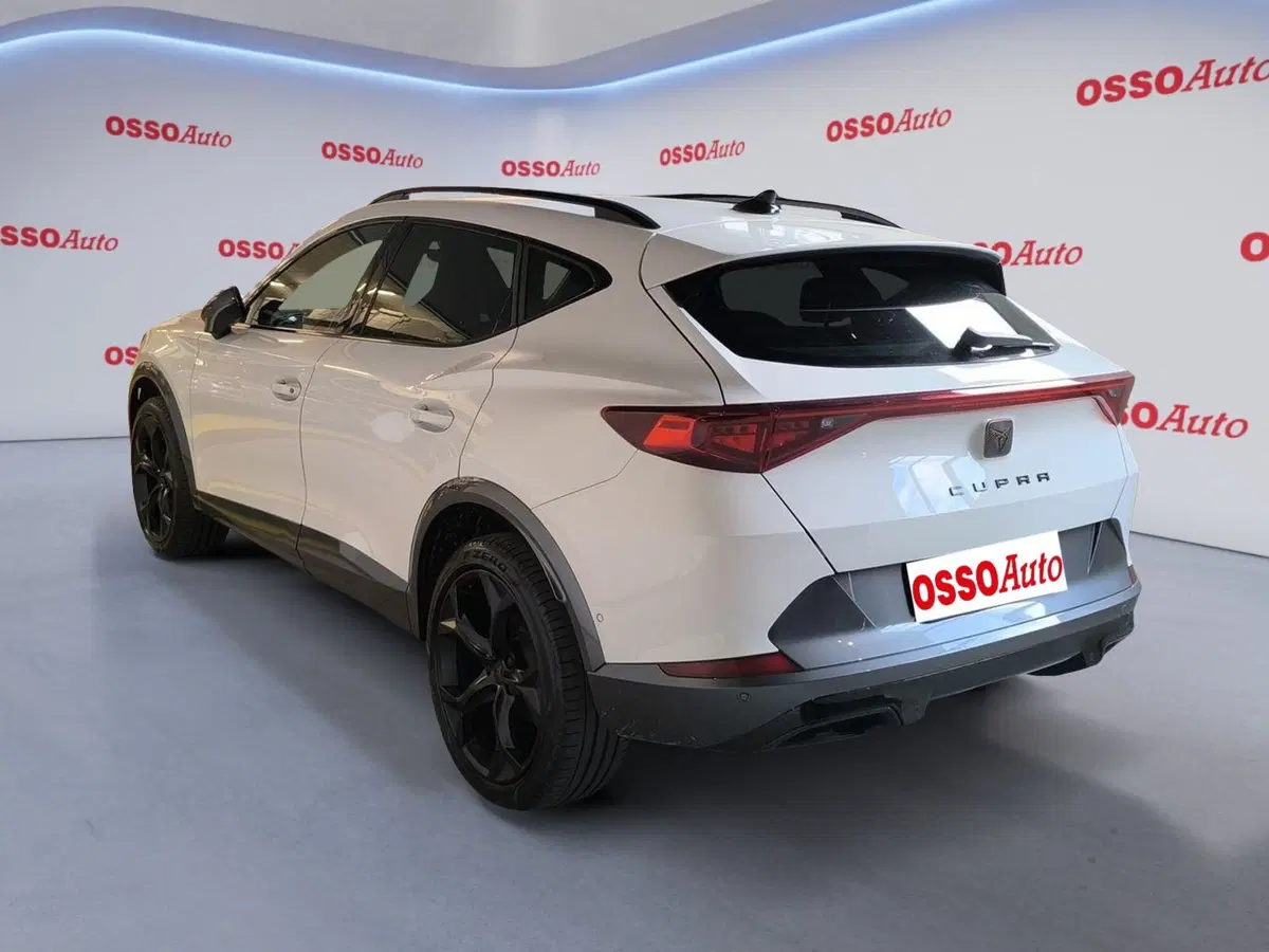 Cupra Formentor usata a Udine (4)