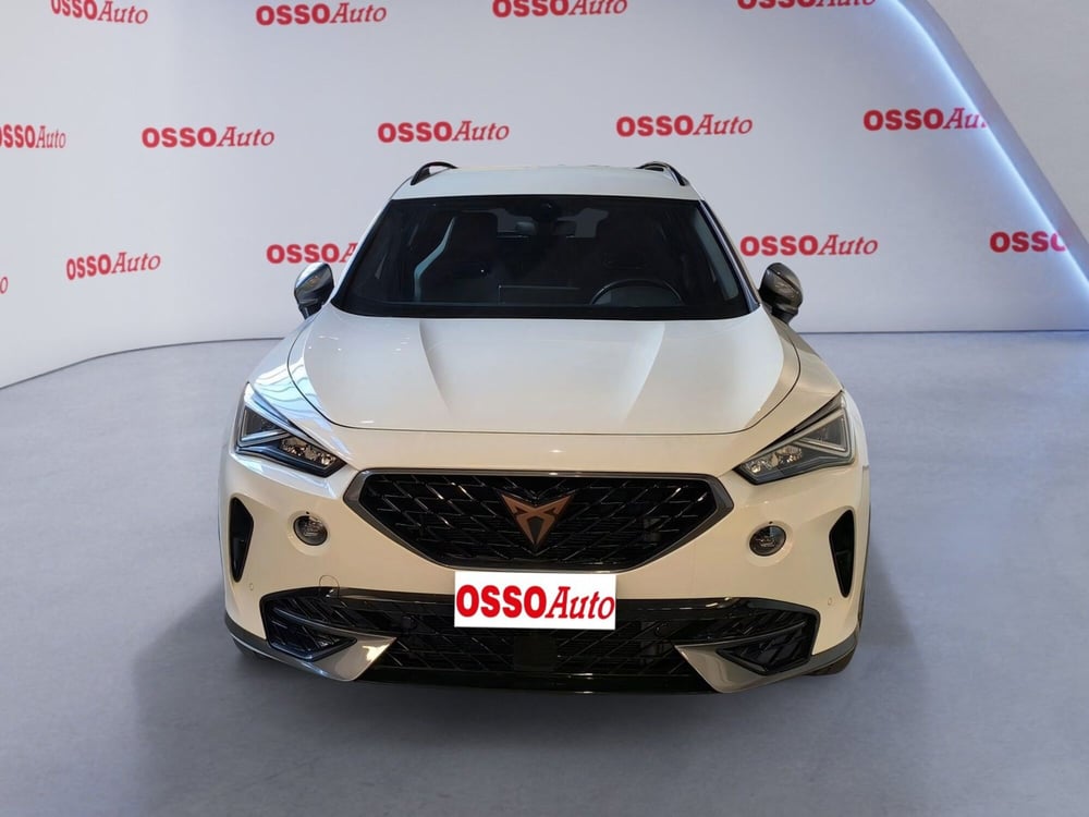 Cupra Formentor usata a Udine (5)