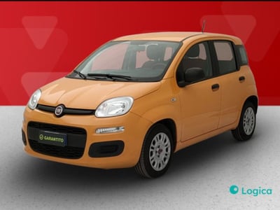 Fiat Panda 1.0 firefly hybrid s&amp;s 70cv 5p.ti del 2021 usata a Torino