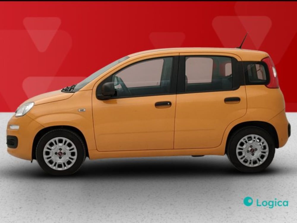Fiat Panda usata a Torino (2)