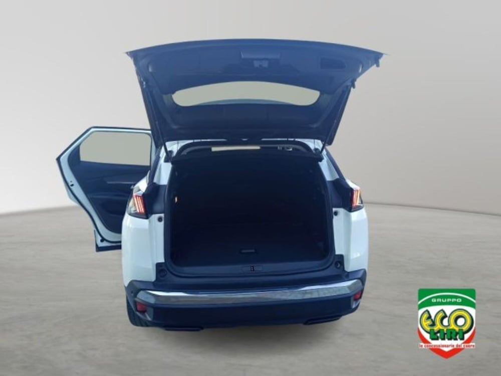 Peugeot 3008 usata a Frosinone (17)