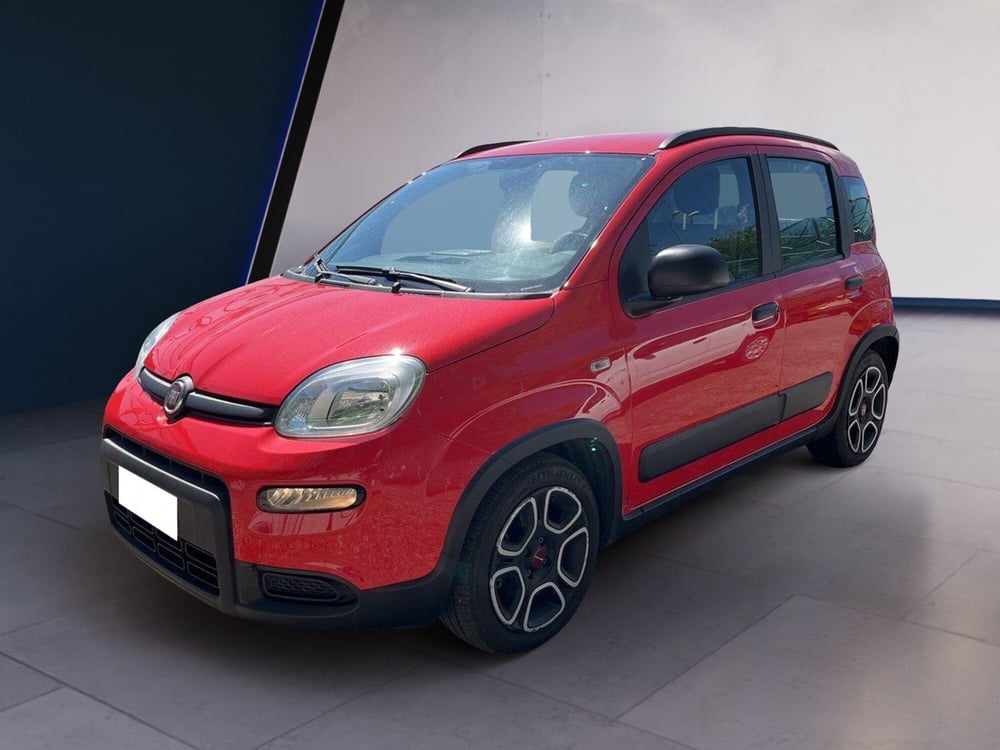 Fiat Panda usata a Torino (2)