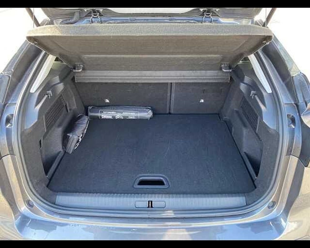 Citroen C4 usata a Potenza (15)