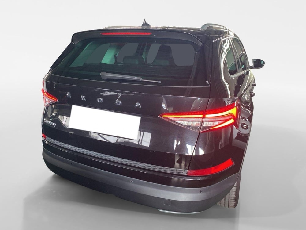 Skoda Kodiaq usata a Reggio Calabria (8)