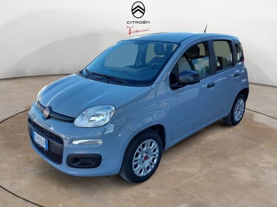 Fiat Panda 1.2 Pop del 2020 usata a Voghera