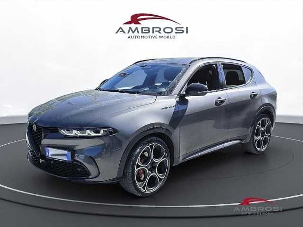 Alfa Romeo Tonale usata a Viterbo