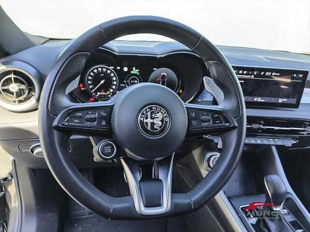 Alfa Romeo Tonale usata a Viterbo (13)