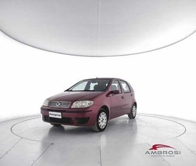 Fiat Punto 1.2 5 porte Dynamic del 2007 usata a Viterbo