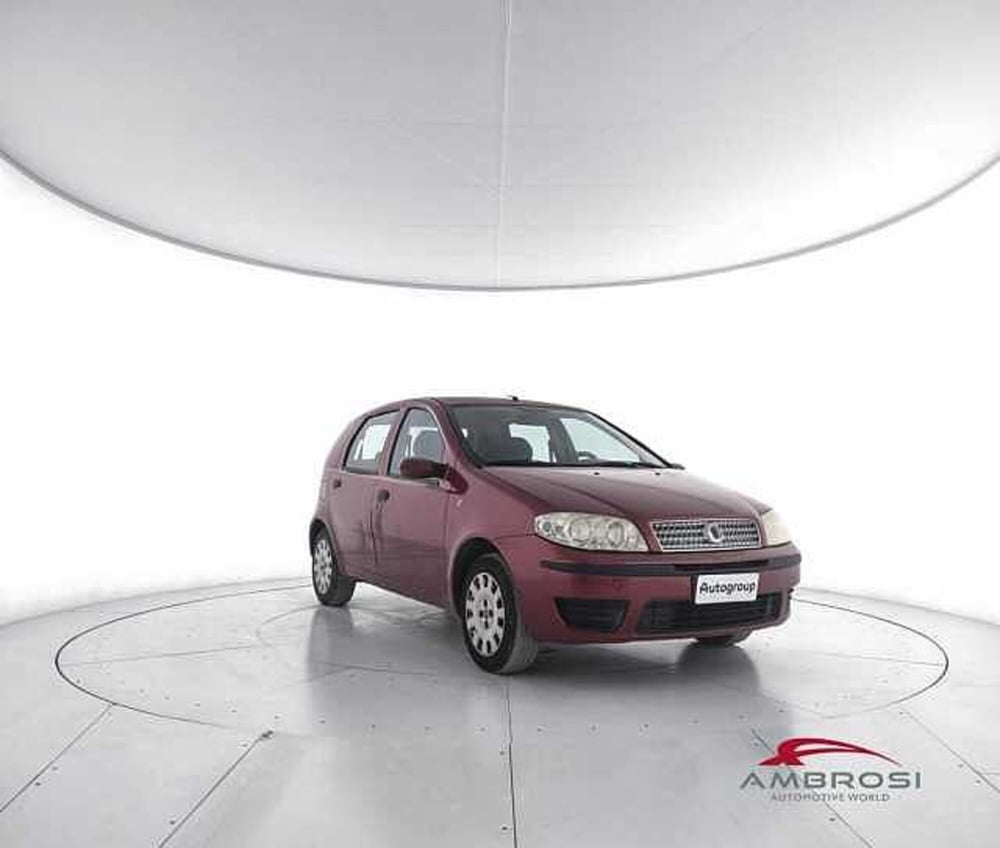 Fiat Punto usata a Viterbo (2)